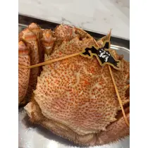 柊 まりん