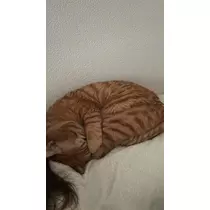 神永 莉聖