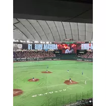 マヤ