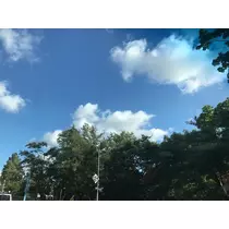 藤咲 りな