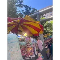 大園 桃子