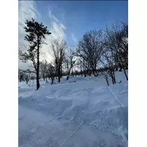 宝條 夏恋
