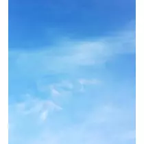 きょう