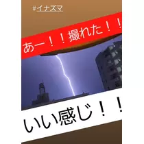 紫音