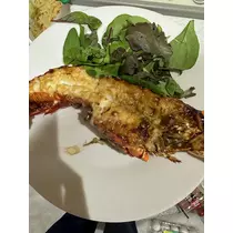 橘 美咲