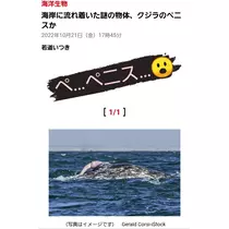 紫音