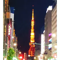 紫音