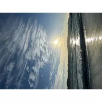 さつき