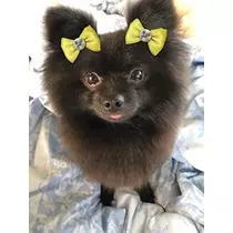 ティナ