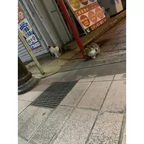 かえで