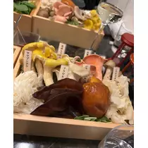 北の関まほの海