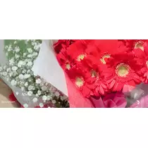 まどか