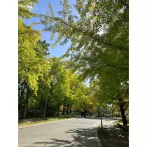 結城 かなの