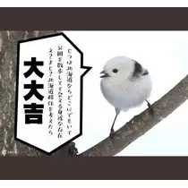 ひな