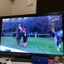 愛羽 仁美