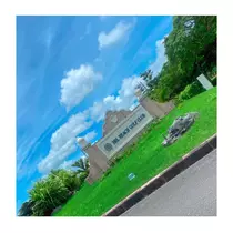 蘭