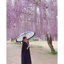 えれな