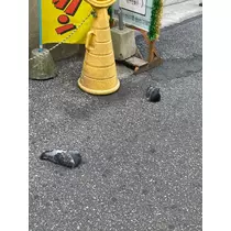 七海 結愛
