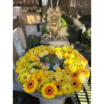 姫花