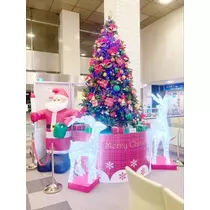 夏樹 あや