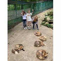 愛羽 仁美