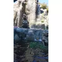 成海 まお