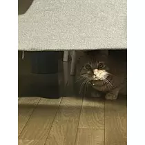 神永 莉聖
