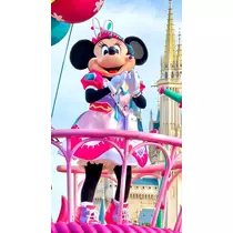 姫花