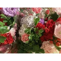 長瀬 純恋