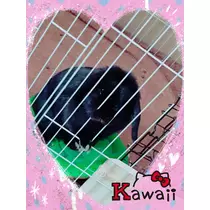 天羽 つばさ