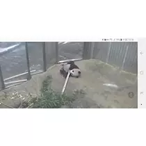 りか