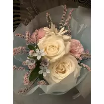 白石 愛莉