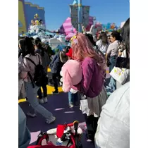 姫花
