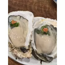 きょう