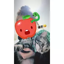 夢乃 サラ