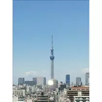 桃瀬 百華