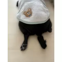 綾瀬 優