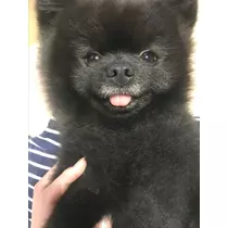 ティナ