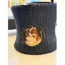 あいら