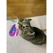 桐島 りゅう
