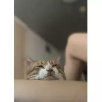 ほのか