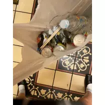 らん