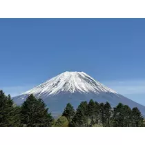 りか