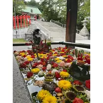 乙川 ゆあ