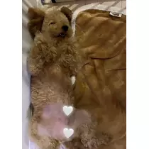 もえ