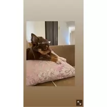 ありさ♡