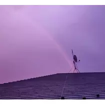 紫音