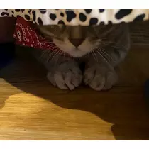 みき