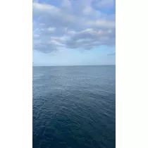 佐野 エマ