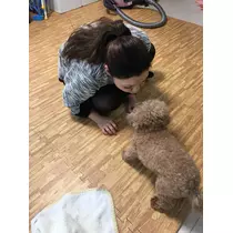♡あき♡